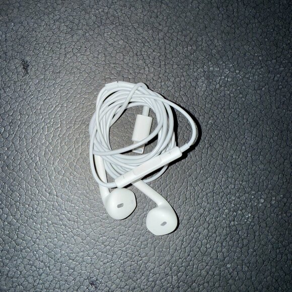 Apple Other - Apple Headphones Lightning Plug